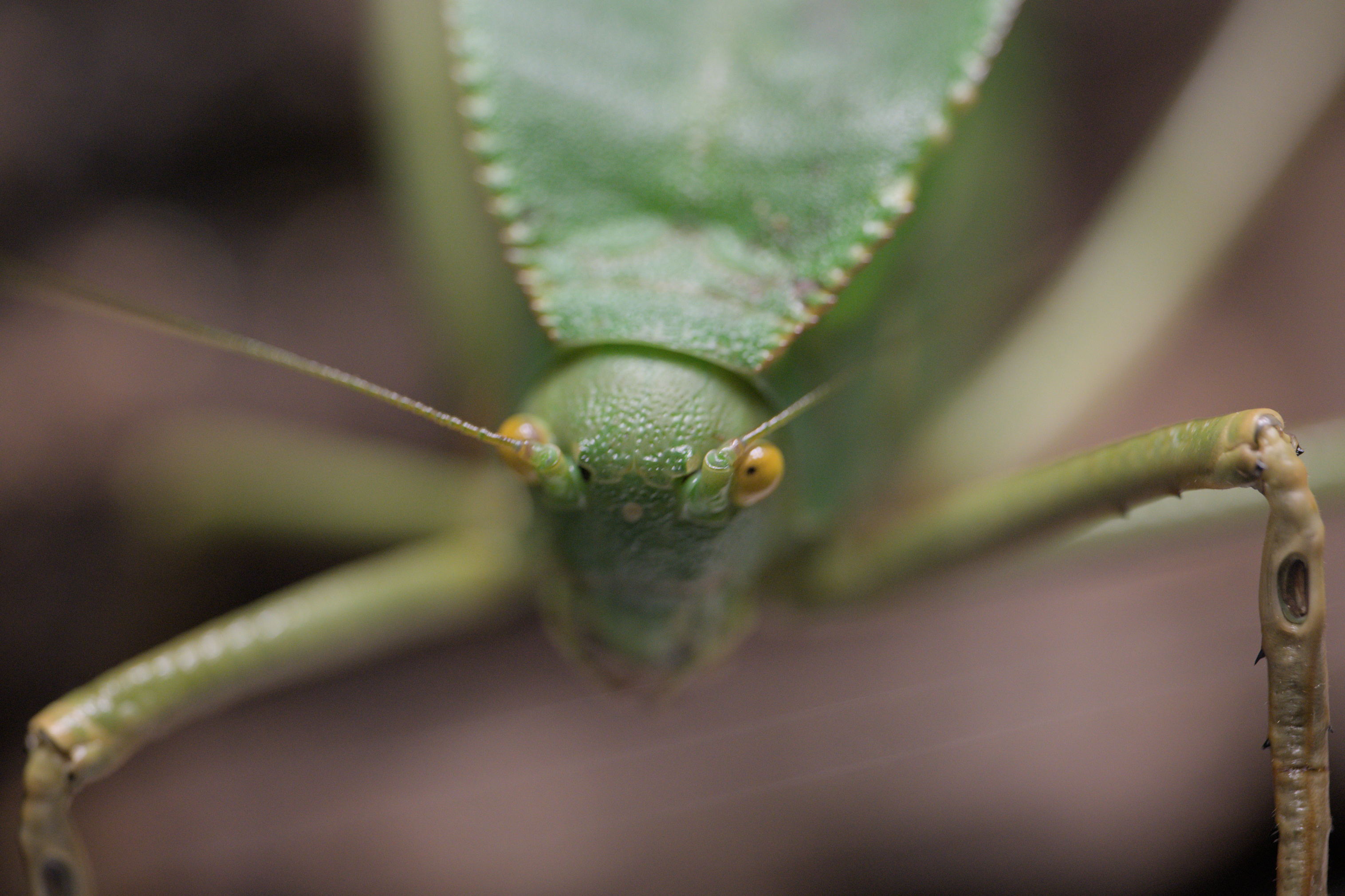 2025/10/12 - zoo/DSC_0220.jpg